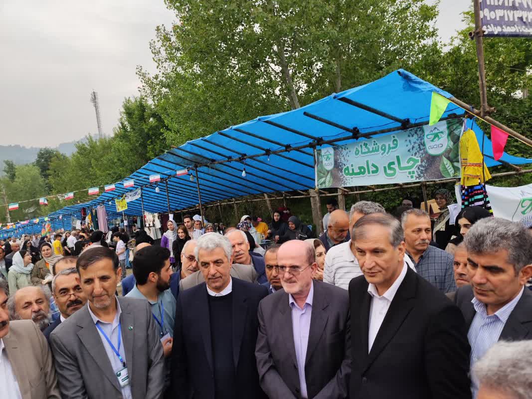 نخستین جشنواره برداشت برگ سبز چای در شهرستان لنگرود برگزار شد